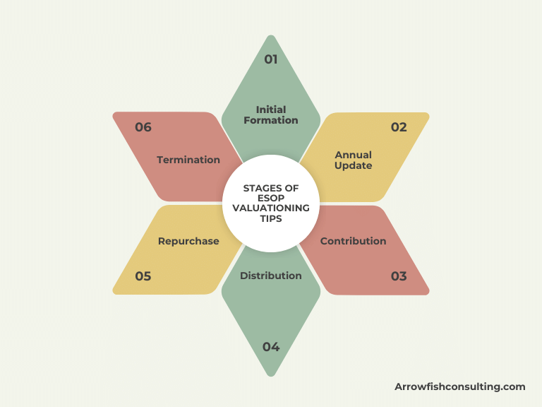 Stages of ESOP Valuation